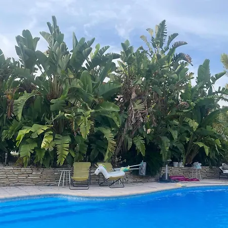 Les Yuccas - Pool - Sea View * Cagnes-sur-Mer