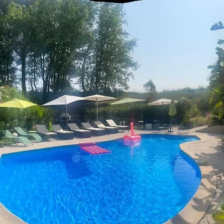 Les Yuccas - Pool - Sea View 别墅 滨海卡涅